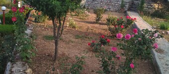 Camp Gopika Baldiyakhan,Nainital Uttarakhand India.