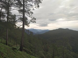 Unclassified image, 4 of 13, button