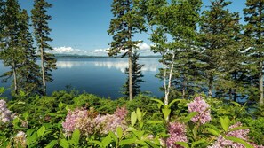 Uklassifisert bilde, 2 av 50, knapp