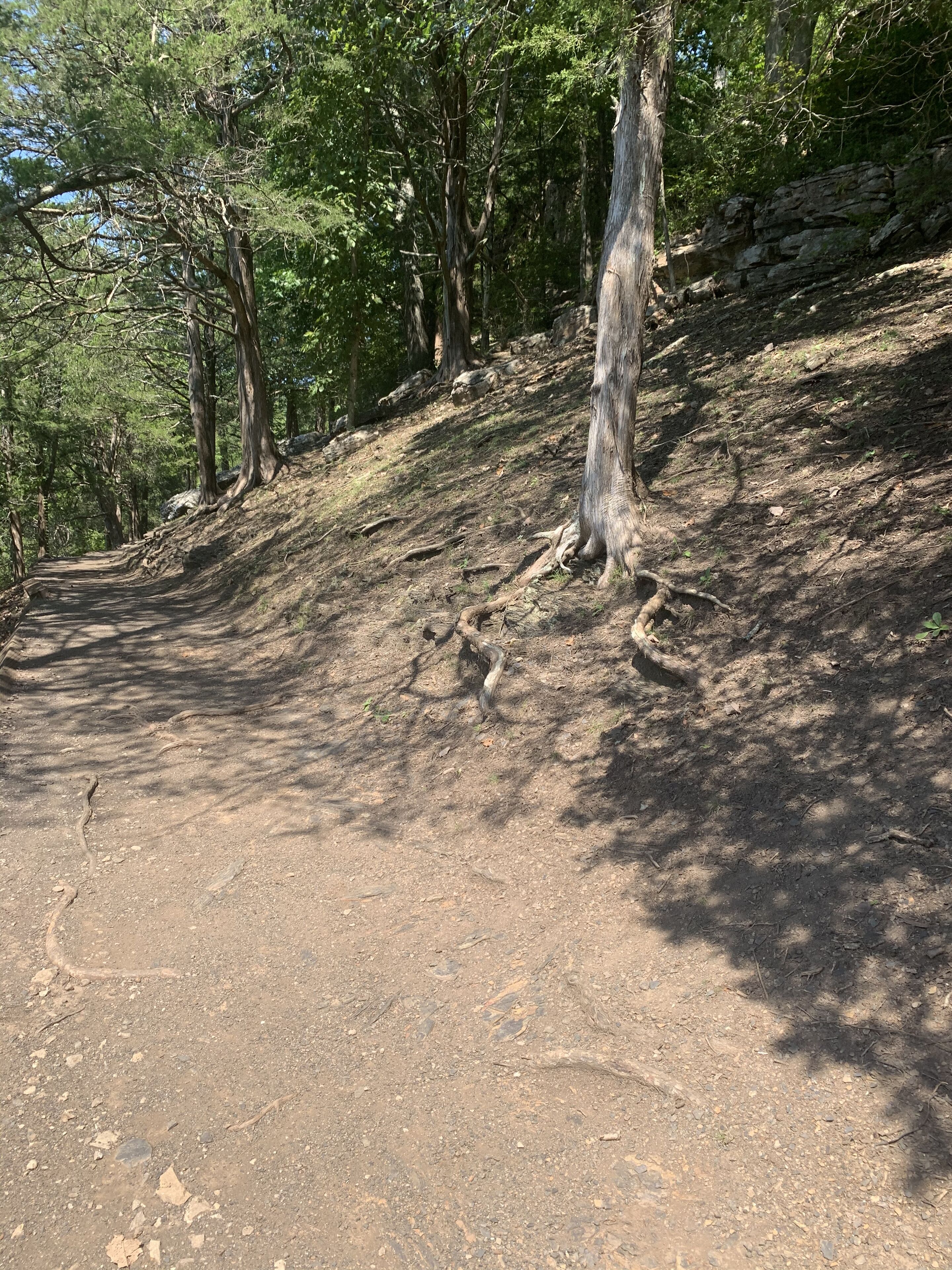 A dirt path in a wooded area with trees and a rocky hillside.
