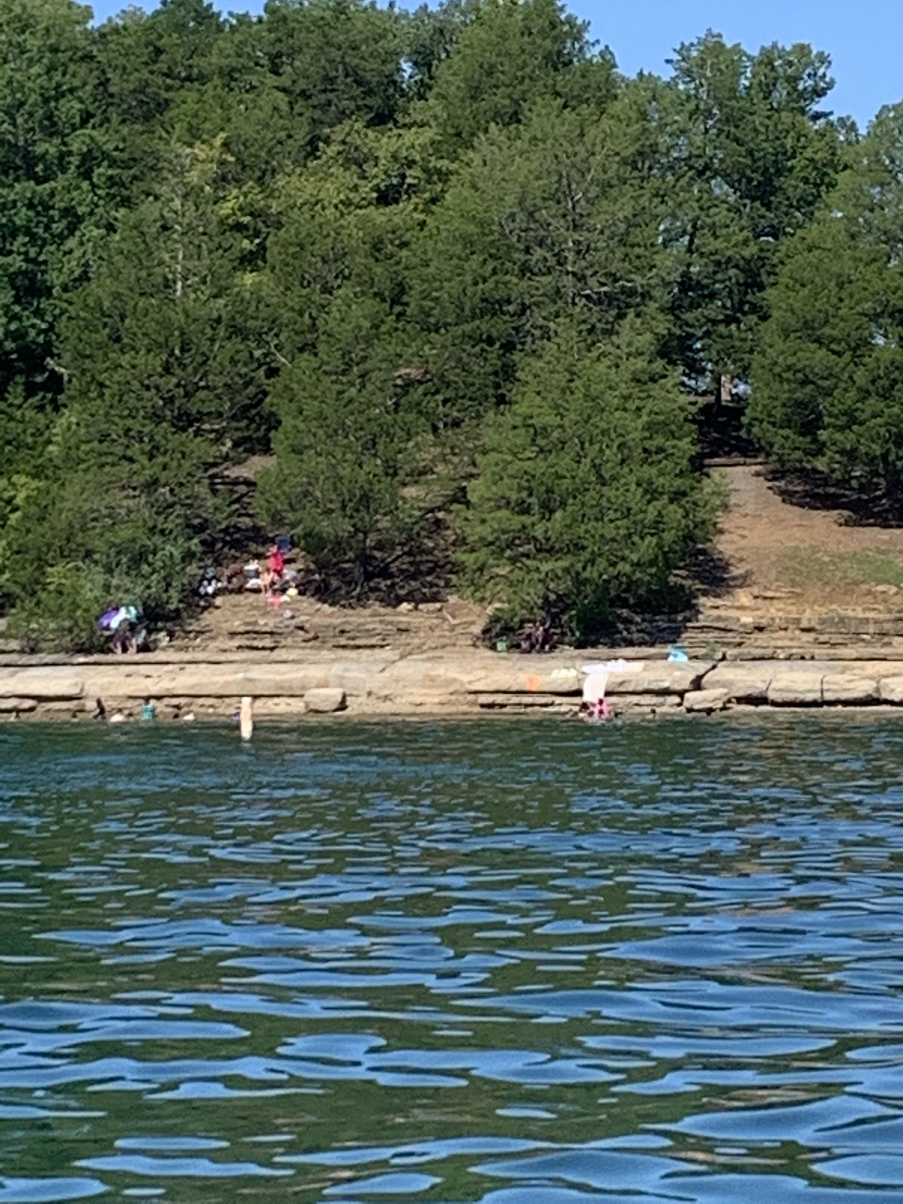 A rocky shoreline with trees and a clear view of the water.