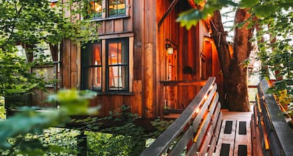 Emerald Forest Treehouse - From Treehouse Masters