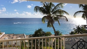 A balcony with a view of the ocean and palm trees.