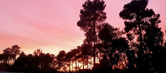 Villa in Aroeira / Verdizela - Pool, Beach, Surf, Golf