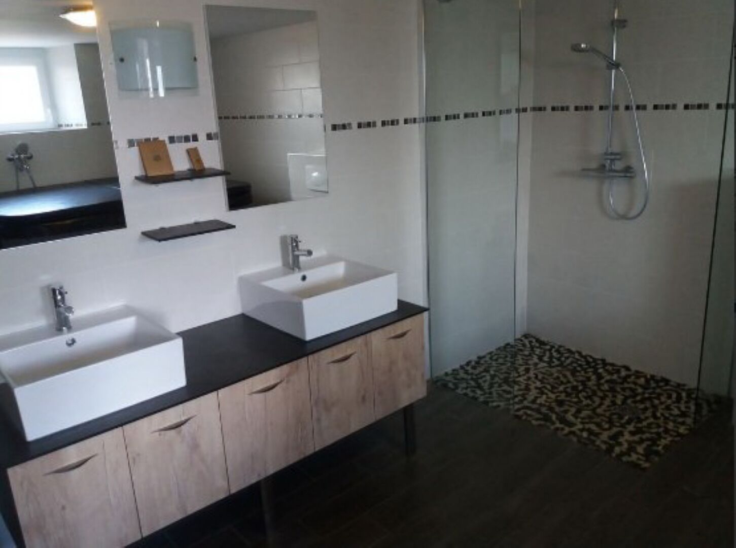 Shower, hair dryer, toilet paper