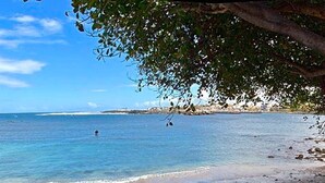 A beach with clear water, a person swimming, and a tree overhanging the water. - A stone's throw from the small beach of the Holy Land (Terre Sainte)