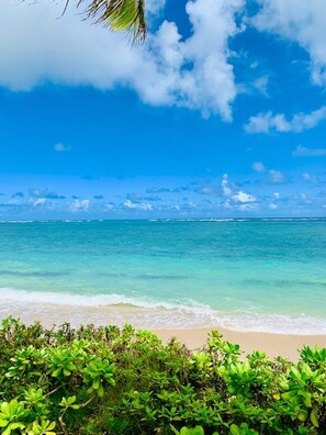 Plage, chaises longues, serviettes de plage