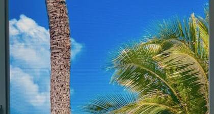 Henkeäsalpaava merinäköala Rantamökki