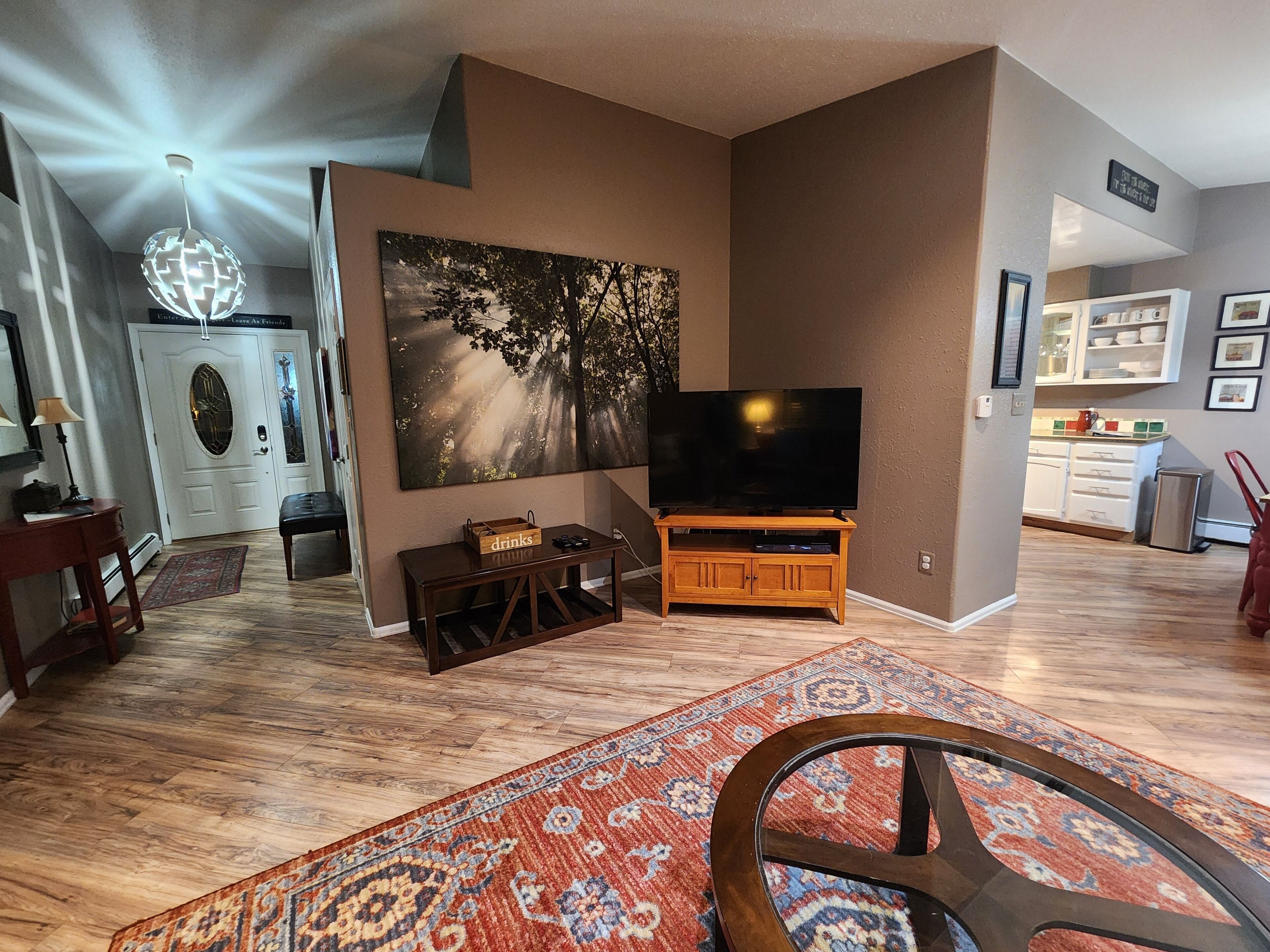 TV connectée, cheminée, lecteur de DVD, livres