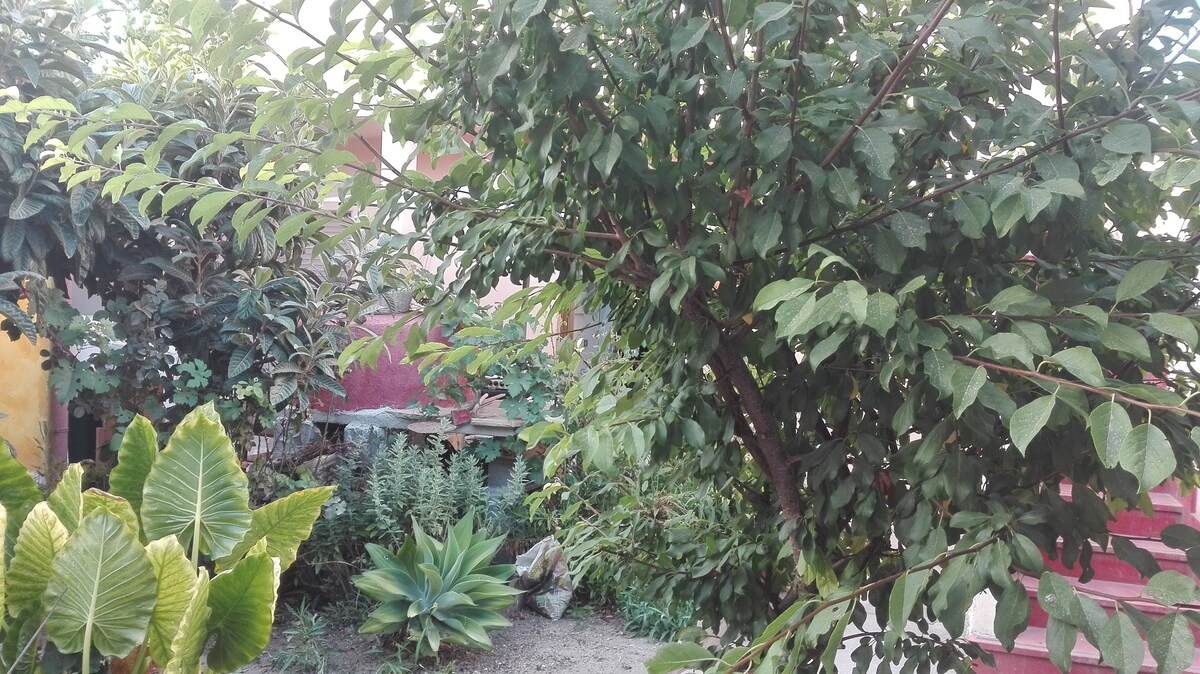 Image de profil de lâhĂŽte