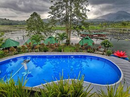 Una piscina con vistas a un jardín tropical, rodeada de estructuras con techos verdes, y una masa de agua al fondo.