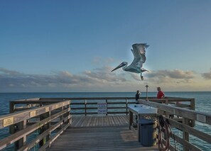 Unclassified image, 2 of 38, button