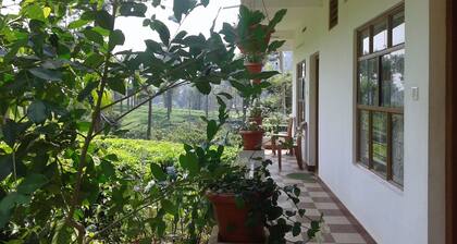 Casas de vacaciones iluminadas por las estrellas Chithirapuram cerca de Munnar - Habitación # 1