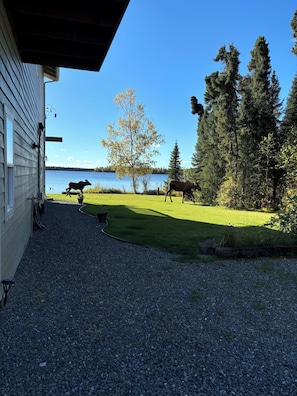 Escape to a serene lakeside retreat with a tranquil forest view.