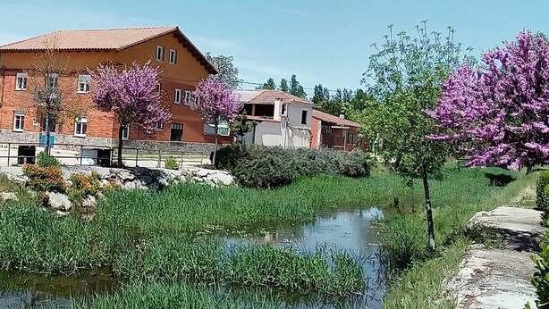 En bygning med rødt tag og murstensvægge, omgivet af en lille sø og blomstrende træer.