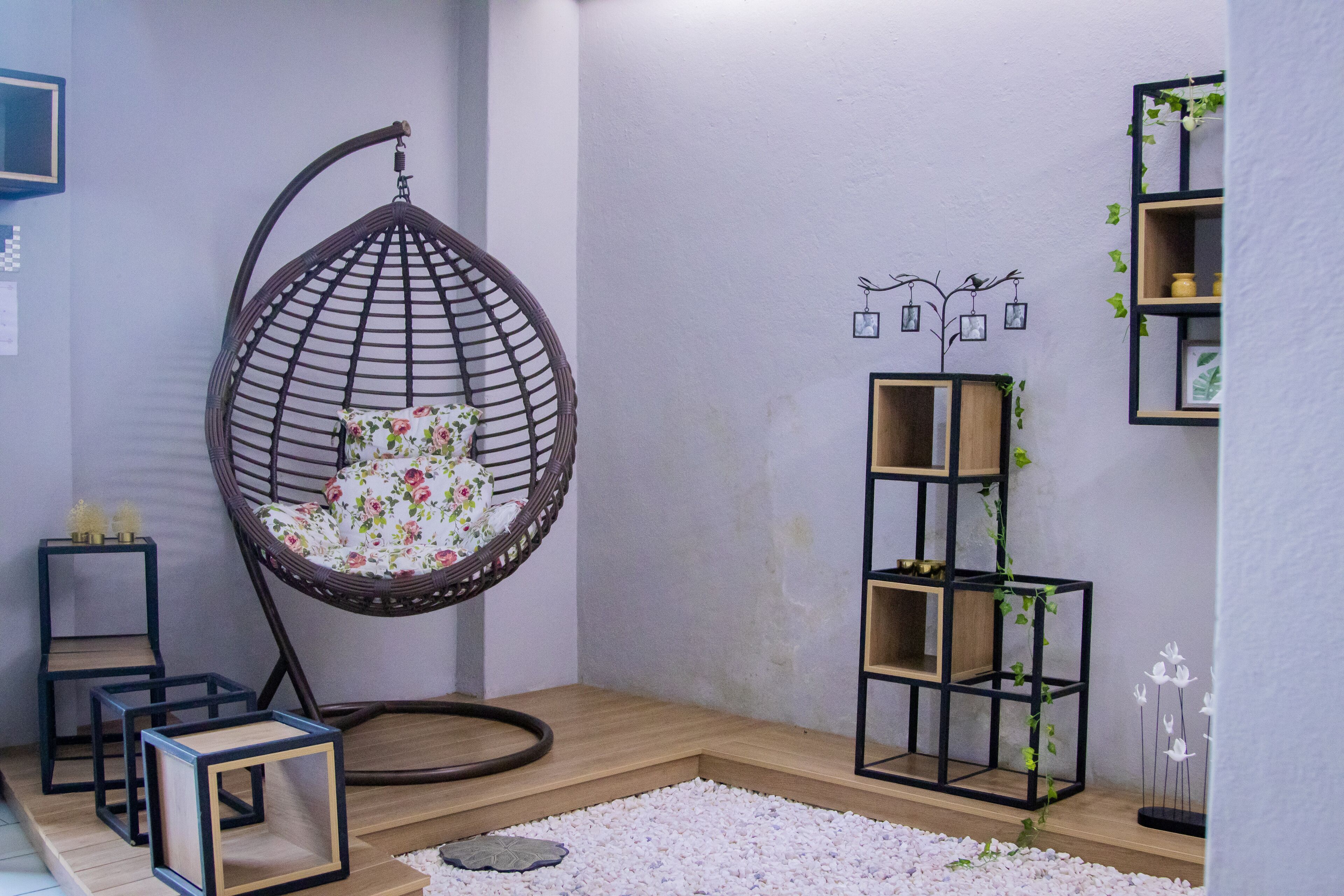 A room with a hanging chair, a wooden floor, a white rug, and a wall-mounted shelf with plants.