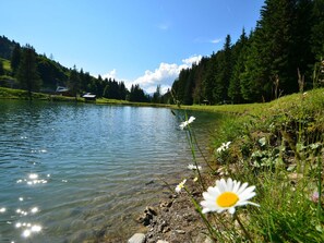Un lac paisible aux eaux limpides, entouré d’une végétation luxuriante et de quelques bâtiments visibles au loin.