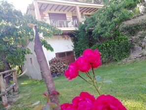 Property grounds - Casa Rural El Arroyo (Sotoserrano)