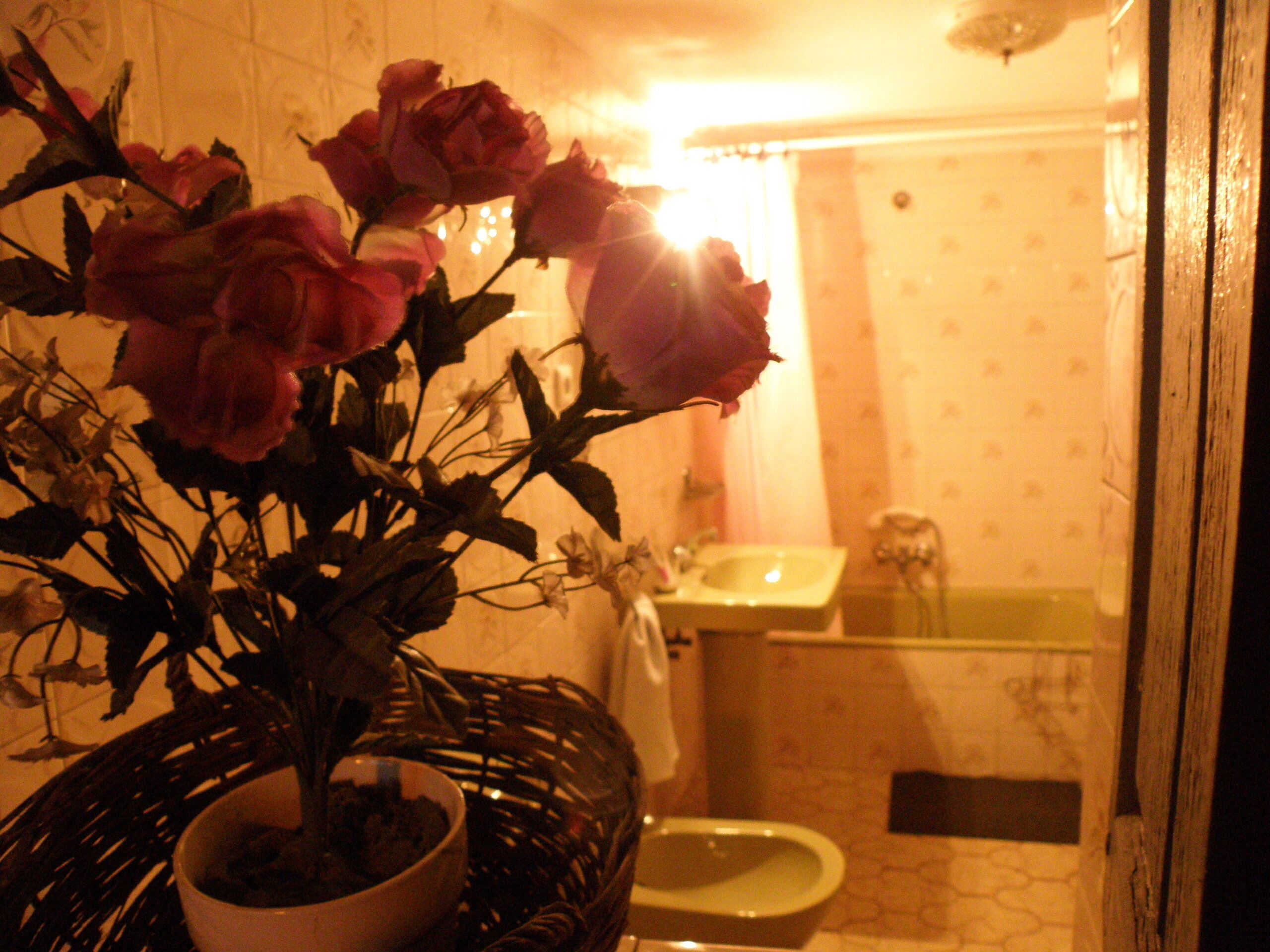 Un baño con lavamanos, inodoro y una planta en maceta con flores.