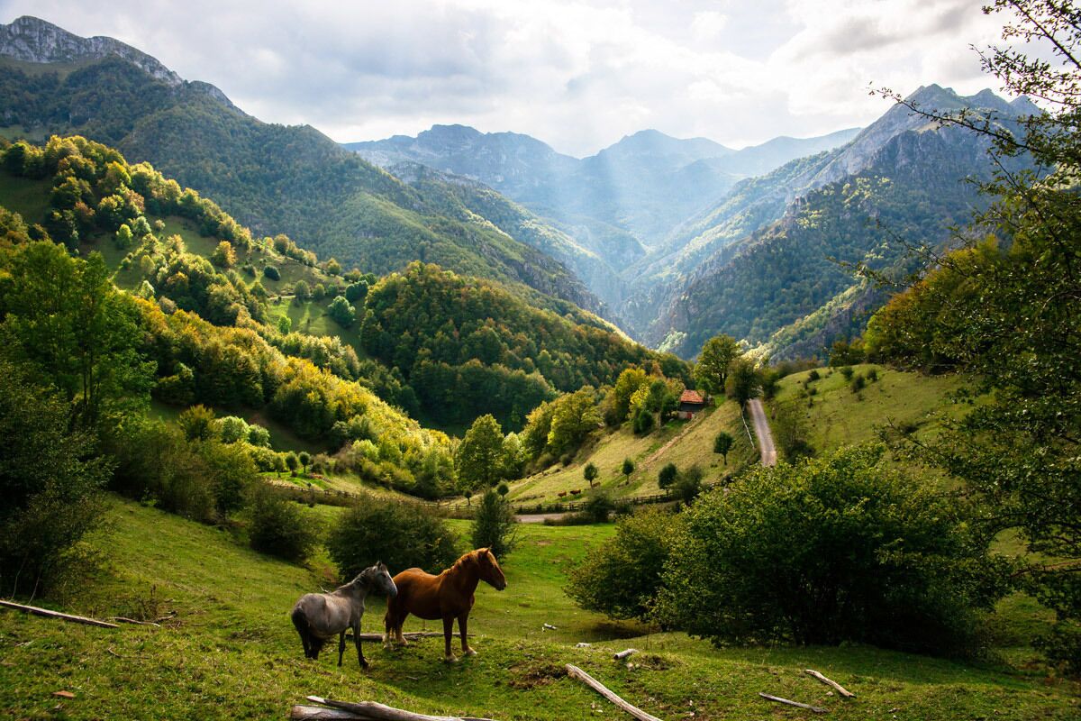 Un paisaje montañoso con dos caballos pastando.