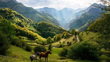 Un paisaje montañoso con dos caballos pastando.