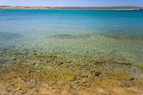 Apartment Feliks - A1