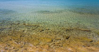 Apartment Feliks - A1