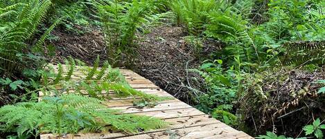 Overnattingsstedets uteområder