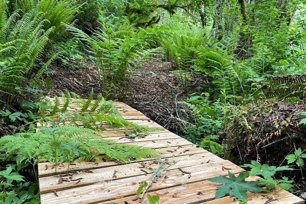 Overnatningsstedets område