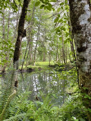 Parco della struttura