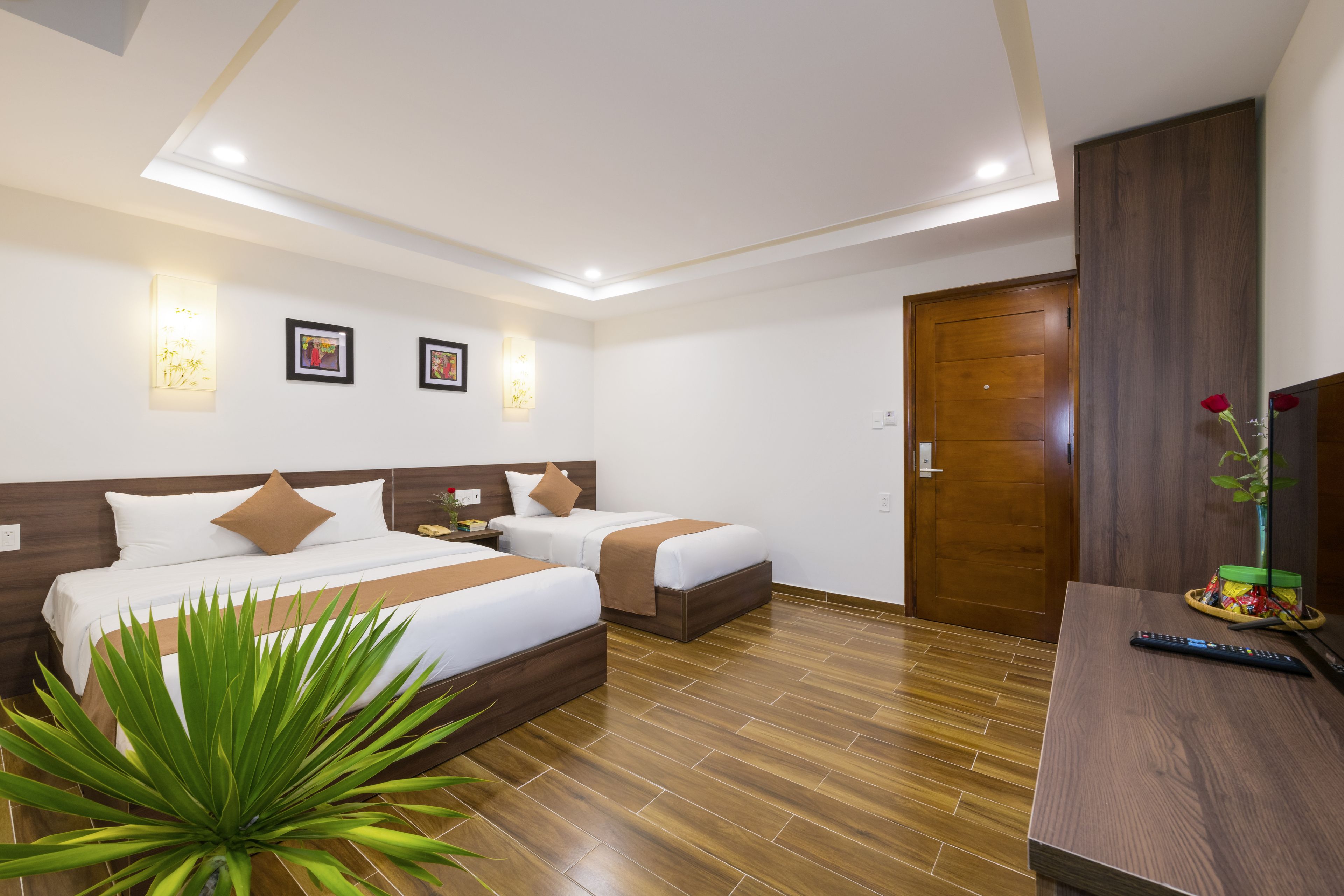 A hotel room with two beds, a wooden floor, a TV, and a plant.