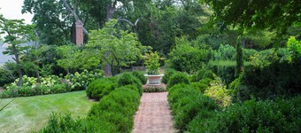 Beautiful Cottage at Historic Ramsay Estate with "WOW" Blue Ridge views
