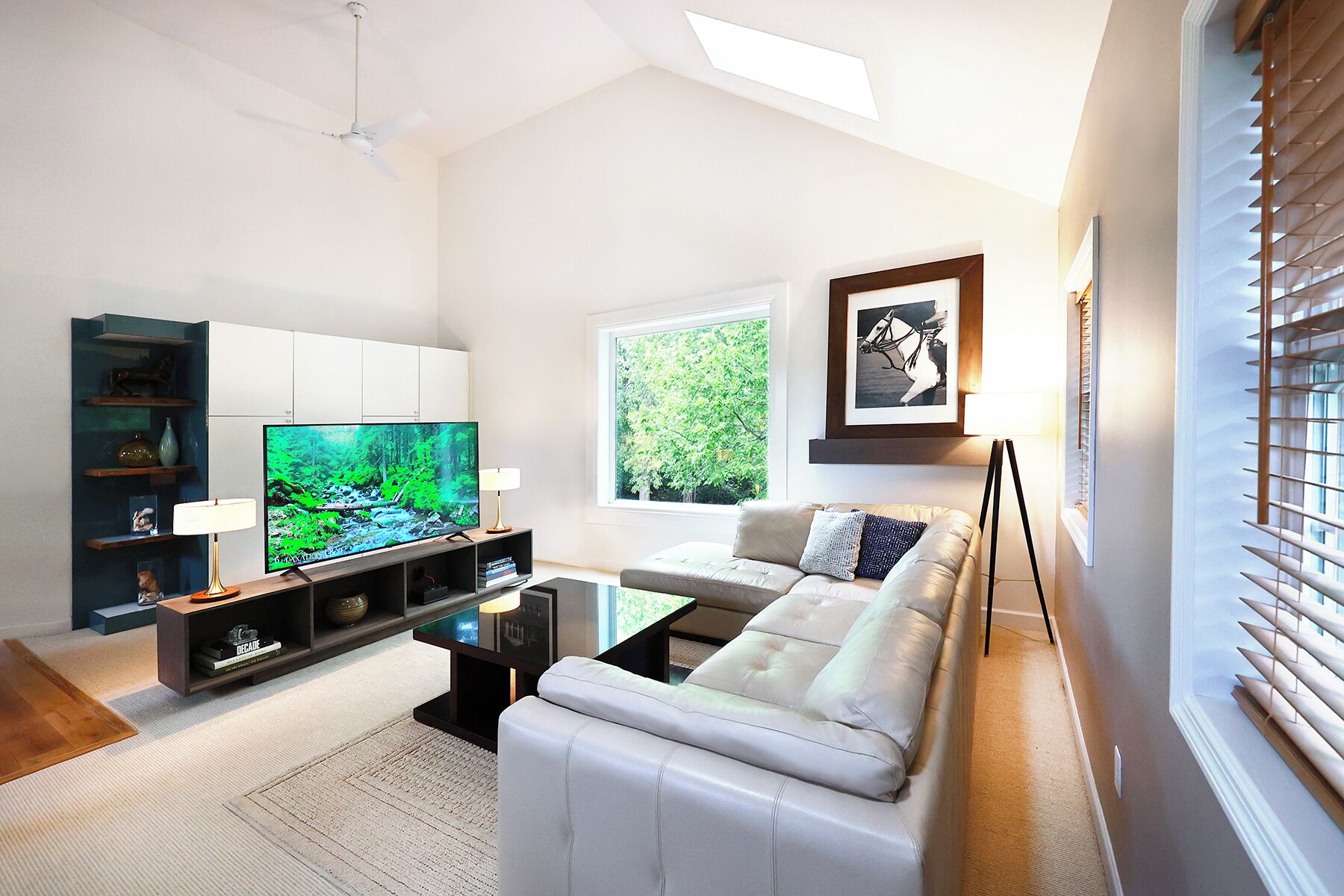 TV connectée, livres, médiathèque, vidéothèque