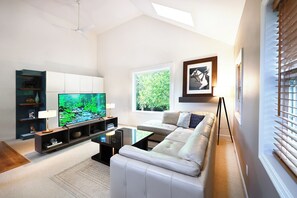 Smart TV, books, music library, video library
