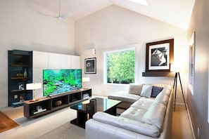 Smart TV, books, music library, video library