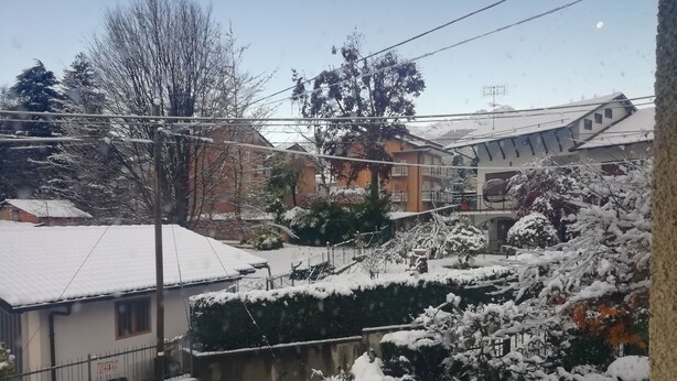Un quartier résidentiel aux toits et aux arbres couverts de neige, avec une clôture bien visible et un bâtiment portant une enseigne.
