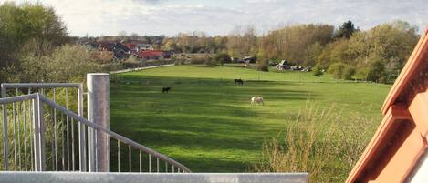 A rural landscape with a fenced field, a metal staircase, and a distant village.