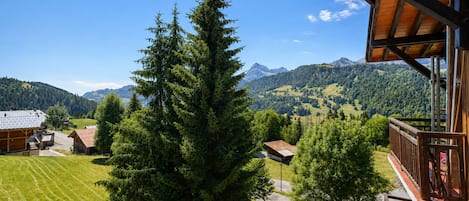 Terrain de l’hébergement