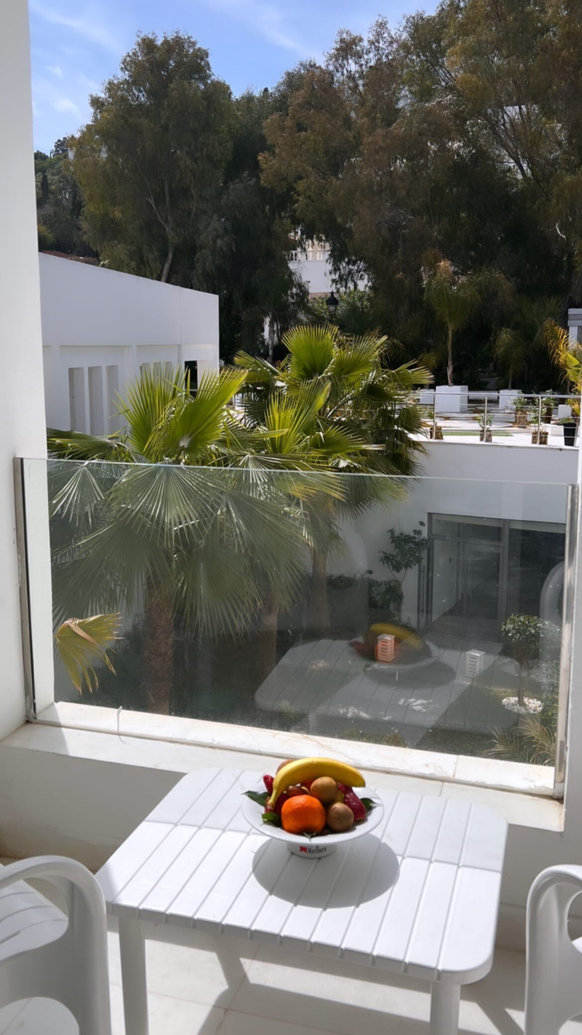 Terraza o patio