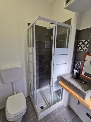 Regadera, secadora de cabello, bidet, toallas 