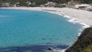Een kustlandschap met helder turquoise water, een zandstrand en een beboste heuvel op de achtergrond.