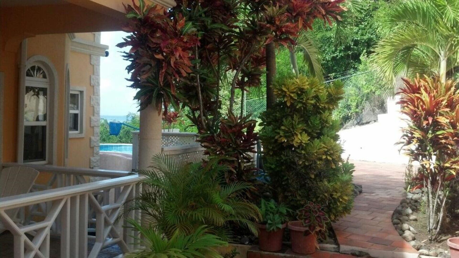 Een overdekt buitengebied met een zwembad, omgeven door diverse planten in potten en een pad van stenen.