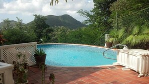 En swimmingpool med udsigt til bjerge og frodig vegetation.