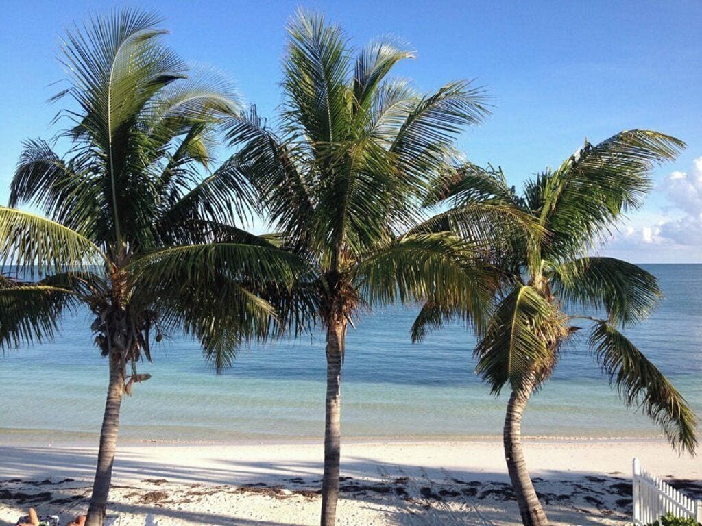 Beach nearby, beach towels