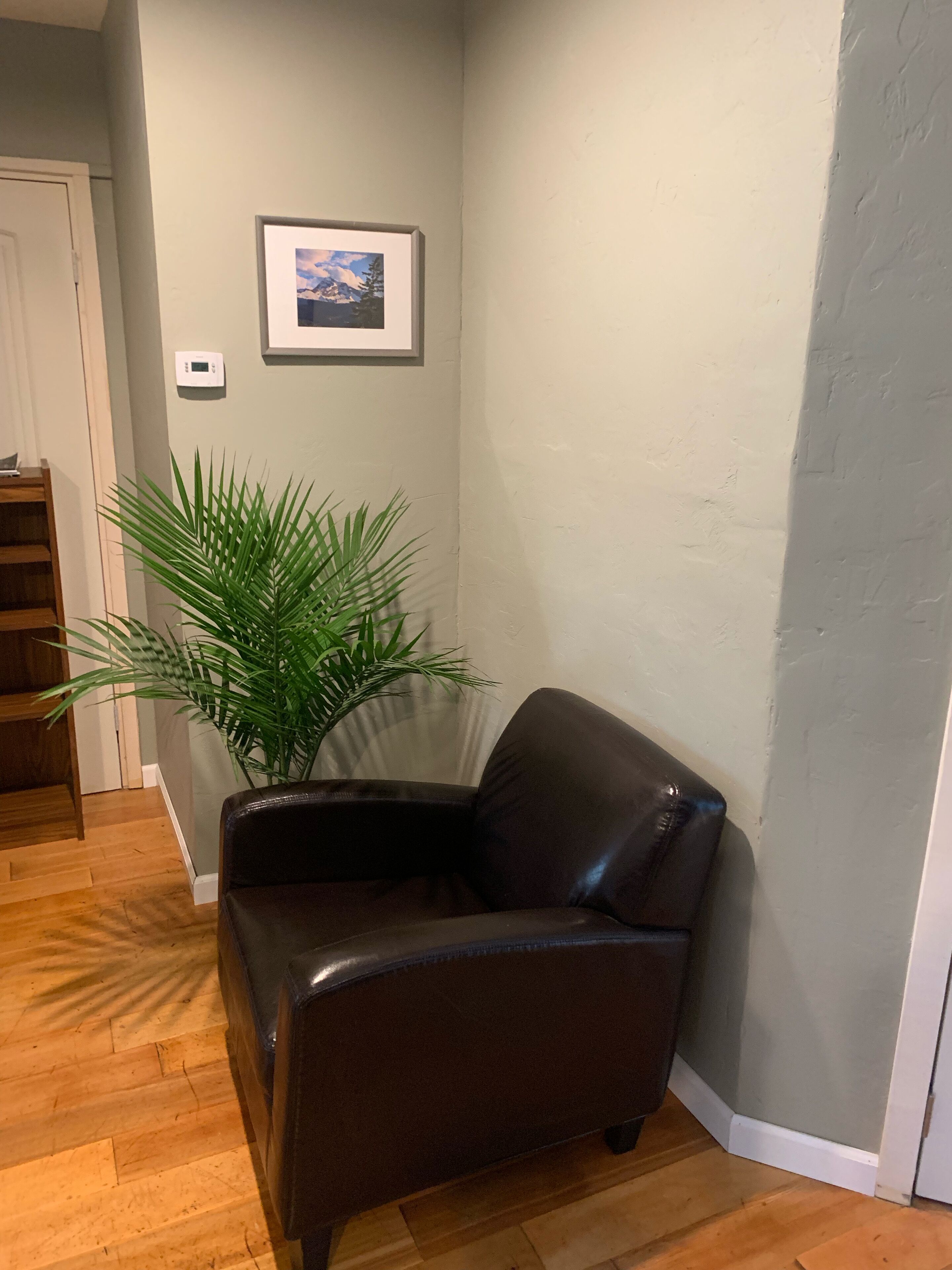A corner room with a leather armchair, a large potted plant, a framed picture on the wall, and a thermostat.