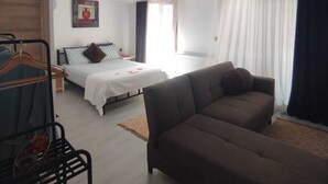Une pièce comprenant un lit, un canapé, un radiateur et une fenêtre avec des rideaux.