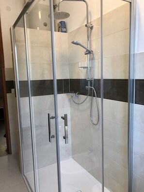 Regadera, secadora de cabello, bidet, toallas 