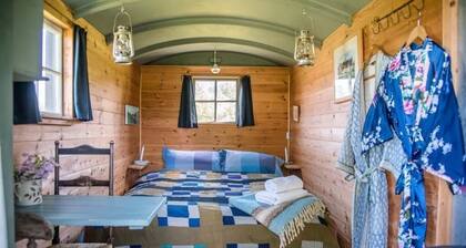 Abbey Shepherds Hut, Auge