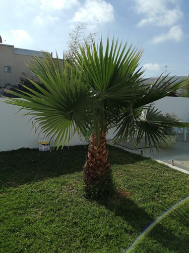 Gästezimmer für 2 Personen