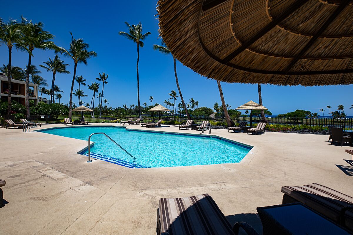 A pool area with lounge chairs and umbrellas, surrounded by palm trees.